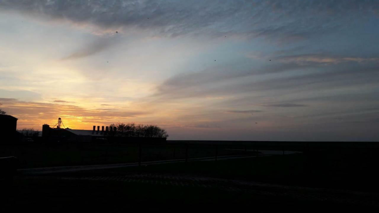 Ferienhof Schild Fewo Bullerbue Schillig Exterior foto